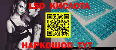 прущие грибы Брянск