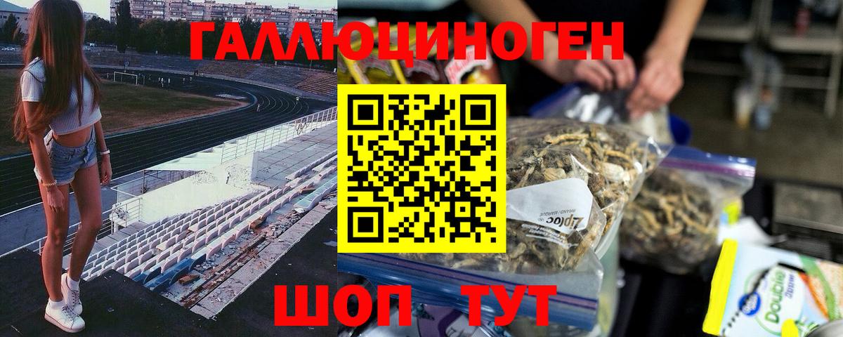 Белгород  Галлюциногенные грибы прущие грибы  Вход с VPN 
